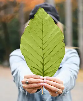 Coton écologique