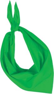 Fiesta | bandana publicitaire Green