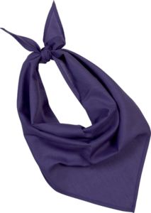 Fiesta | bandana publicitaire Purple