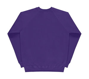 Sweatshirt personnalisé homme manches longues raglan | Blackrod Purple