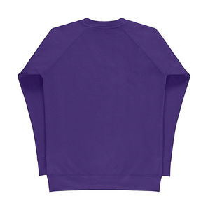 Sweatshirt publicitaire femme manches longues raglan | Horwich Purple