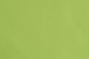 Tablier publicitaire | Rome Bright Green