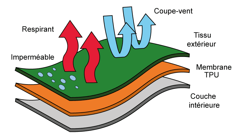 membrane