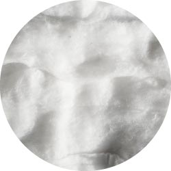 coton-v2