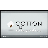 cotton-is