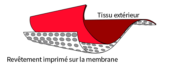 membrane