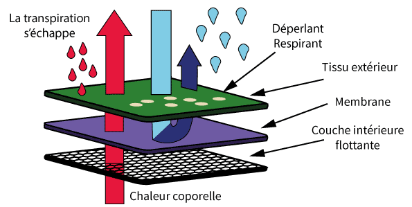 transpiration
